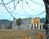 Un Giretto In Toscana  foto 2